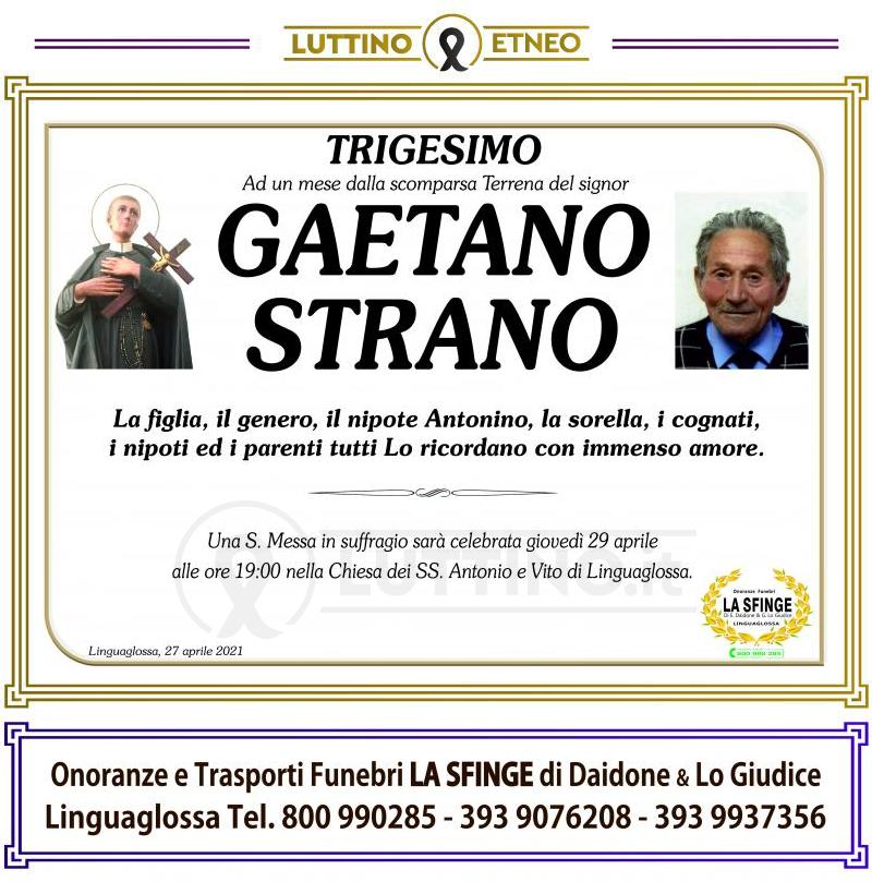 Gaetano  Strano 